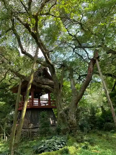 光丸山 法輪寺のその他建物