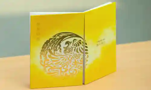 諫早神社（九州総守護  四面宮）の御朱印