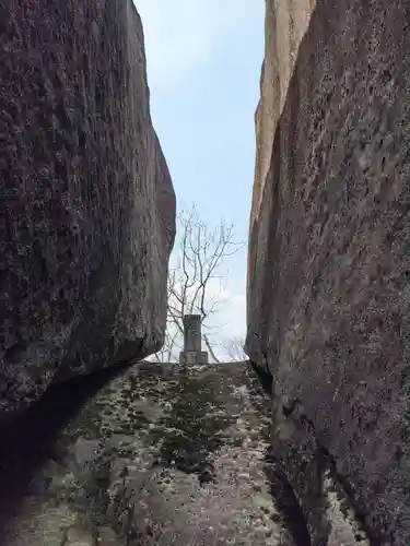 丸山神社の自然