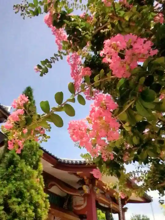 放生寺(東京都)