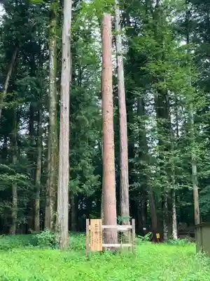 小野神社(長野県)