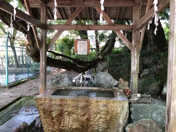 天鷹神社(岐阜県)