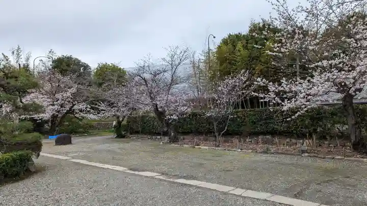 勧修寺(京都府)