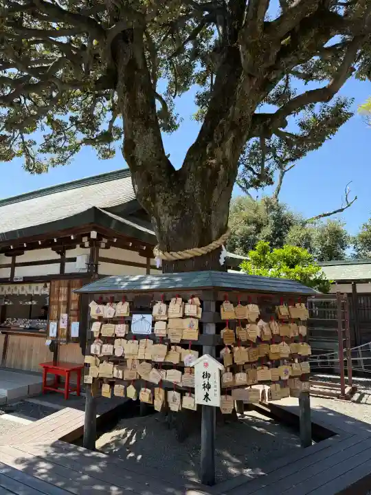 足利織姫神社の{uncategorized: "未分類", other: "その他", undefined: "問題あり", building: "その他建物", grave: "お墓", sacred_gate: "鳥居", guardian: "狛犬", statue: "像", buddha: "仏像", history: "歴史", nature: "自然", garden: "庭園", animal: "動物", pagoda: "塔", temizu: "手水舎", mountain_gate: "山門・神門", sanctuary: "本殿・本堂", subordinate: "末社・摂社", art: "芸術", scenery: "景色", jizo: "地蔵", ema: "絵馬", goshuin: "御朱印", omikuji: "おみくじ", items: "授与品その他", amulet: "お守り", goshuincho: "御朱印帳", eats: "食事", festival: "お祭り", votive_dance: "神楽", shichigosan: "七五三参", wedding: "結婚式", experience: "体験その他", initially: "初詣", around: "周辺", anti_infection: "感染症対策"}