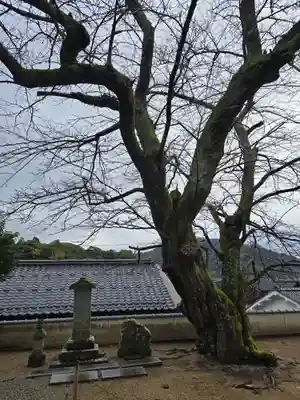 海蔵寺(京都府)