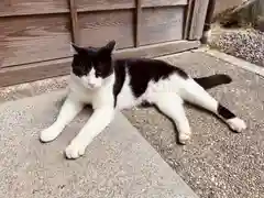 荒木神社の動物