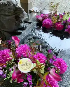 滑川神社 - 仕事と子どもの守り神(福島県) 2024年10月04日(金)〜(2024年10月04日(金) 22時54分52秒投稿)