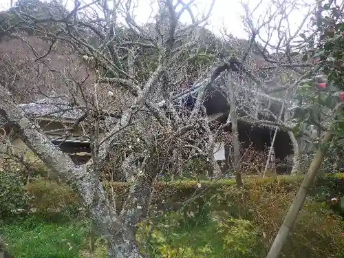 瑞泉寺のその他建物