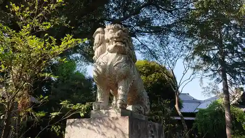 熊野神社の狛犬