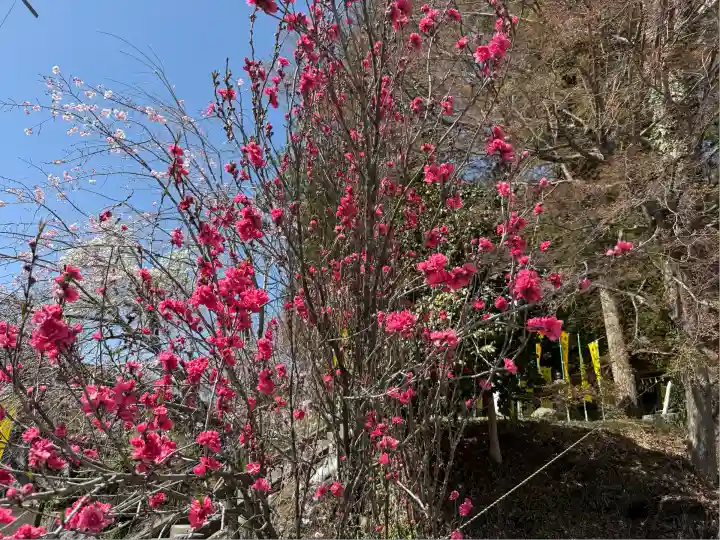 聖神社(埼玉県)