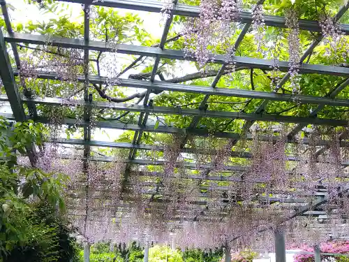 阿智神社(岡山県)