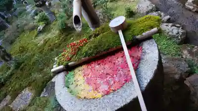 柳谷観音 楊谷寺の手水舎