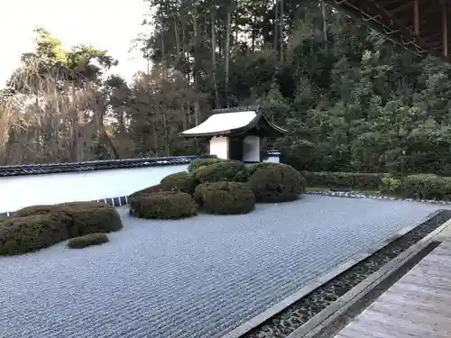 正伝護国禅寺(正伝寺･正傳寺)の庭園