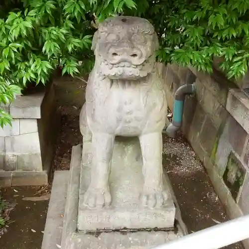 富岡八幡宮の狛犬