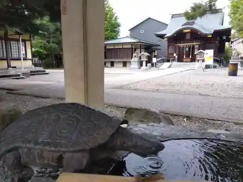 杉杜白髭神社(福井県)