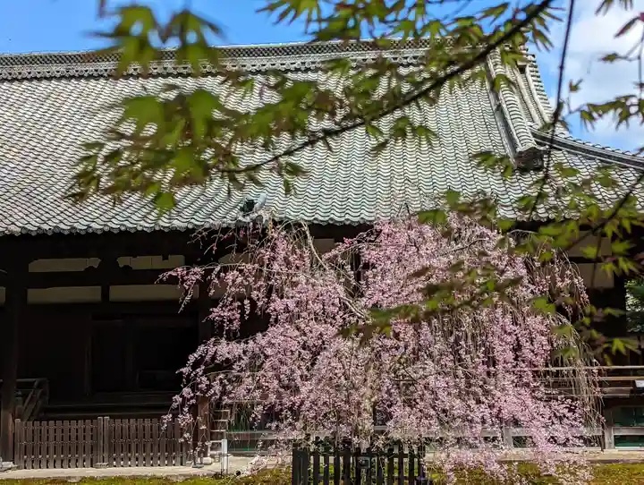 青蓮院門跡(京都府)