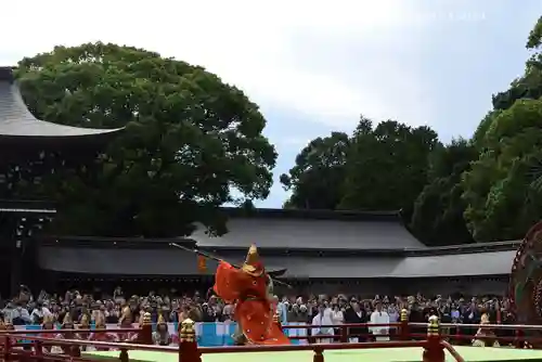 明治神宮(東京都)