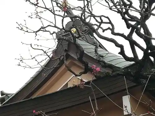 穏田神社の自然