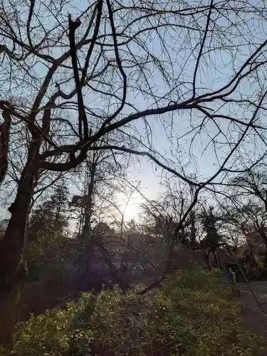 蓮華寺(東京都)