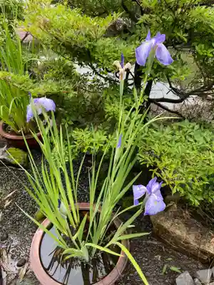 天鏡院(京都府)