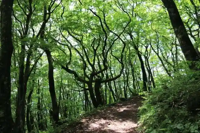 飯豊和気神社の周辺
