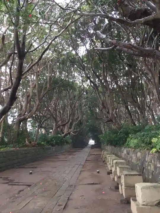 酒列磯前神社の自然