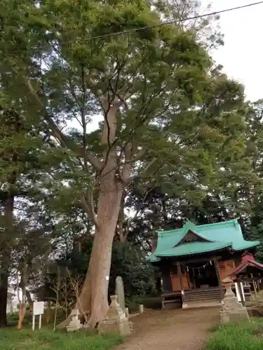 酒門神社の自然