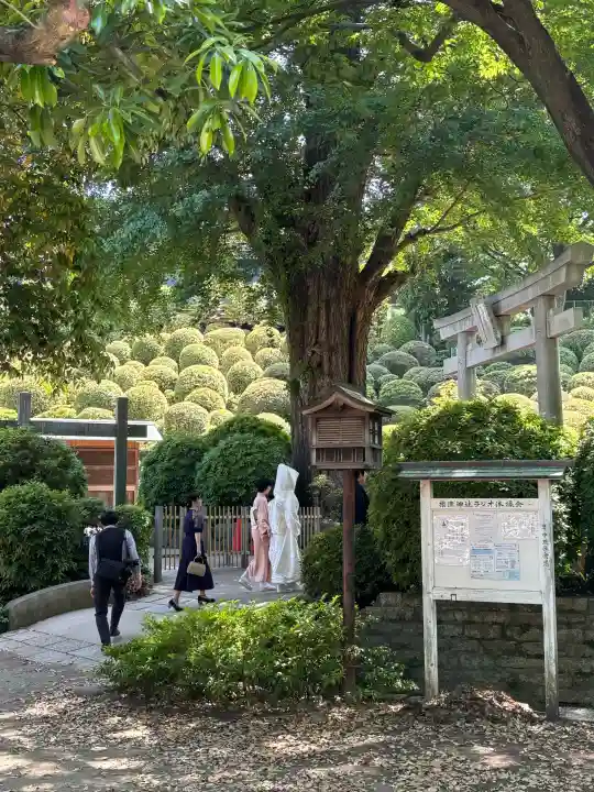 根津神社の{uncategorized: "未分類", other: "その他", undefined: "問題あり", building: "その他建物", grave: "お墓", sacred_gate: "鳥居", guardian: "狛犬", statue: "像", buddha: "仏像", history: "歴史", nature: "自然", garden: "庭園", animal: "動物", pagoda: "塔", temizu: "手水舎", mountain_gate: "山門・神門", sanctuary: "本殿・本堂", subordinate: "末社・摂社", art: "芸術", scenery: "景色", jizo: "地蔵", ema: "絵馬", goshuin: "御朱印", omikuji: "おみくじ", items: "授与品その他", amulet: "お守り", goshuincho: "御朱印帳", eats: "食事", festival: "お祭り", votive_dance: "神楽", shichigosan: "七五三参", wedding: "結婚式", experience: "体験その他", initially: "初詣", around: "周辺", anti_infection: "感染症対策"}