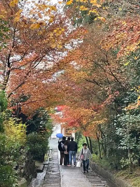 高台寺(高台寿聖禅寺・高臺寺)の景色