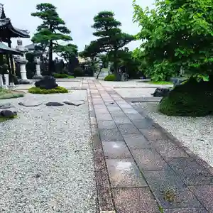 法源寺の庭園(2019年07月15日(月) 09時56分05秒投稿)