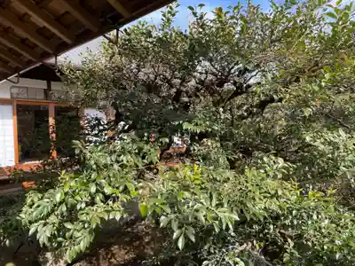 壽聖院(京都府)