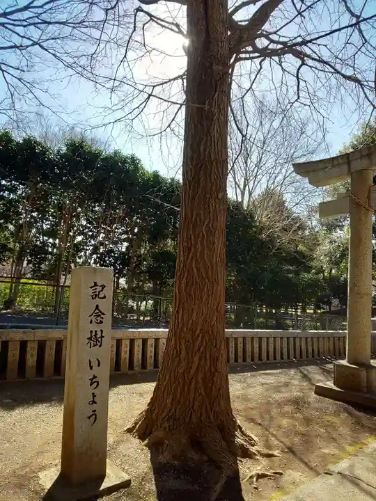 熊野神社(神奈川県)