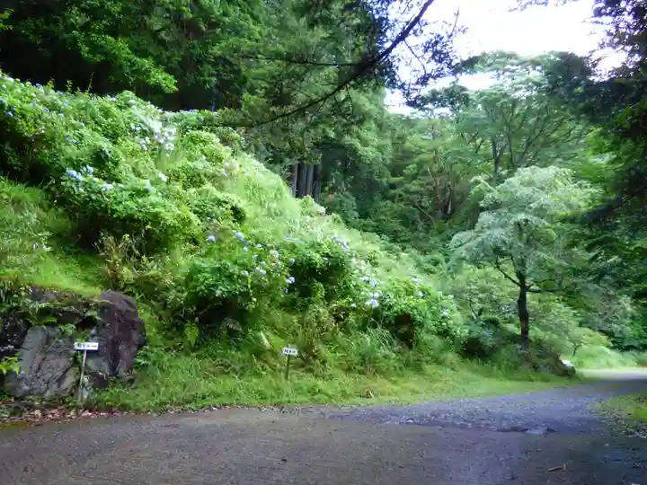 阿弥陀寺の周辺
