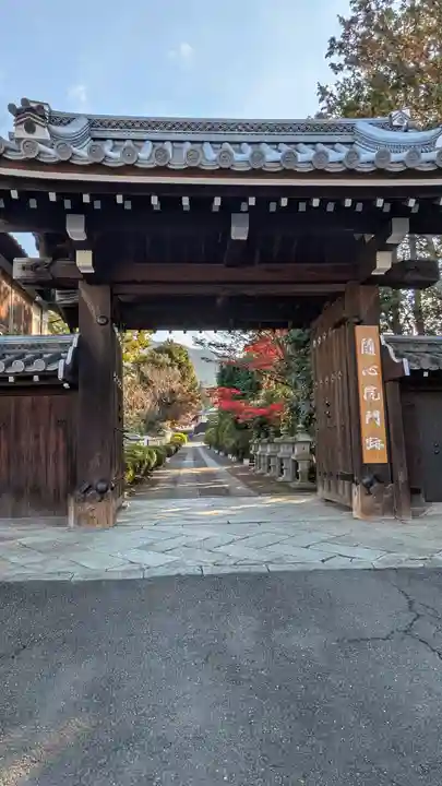 隨心院(随心院)(京都府)