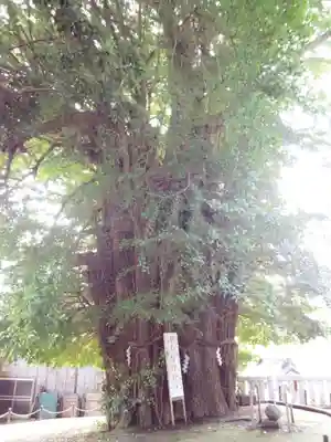 鶴嶺八幡宮のその他建物