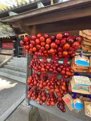 静岡浅間神社(静岡県)