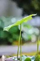 浄土寺(兵庫県)