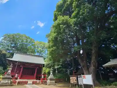 三芳野神社(埼玉県)