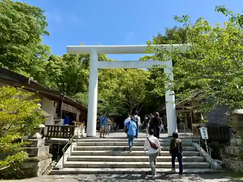 安房神社の{uncategorized: "未分類", other: "その他", undefined: "問題あり", building: "その他建物", grave: "お墓", sacred_gate: "鳥居", guardian: "狛犬", statue: "像", buddha: "仏像", history: "歴史", nature: "自然", garden: "庭園", animal: "動物", pagoda: "塔", temizu: "手水舎", mountain_gate: "山門・神門", sanctuary: "本殿・本堂", subordinate: "末社・摂社", art: "芸術", scenery: "景色", jizo: "地蔵", ema: "絵馬", goshuin: "御朱印", omikuji: "おみくじ", items: "授与品その他", amulet: "お守り", goshuincho: "御朱印帳", eats: "食事", festival: "お祭り", votive_dance: "神楽", shichigosan: "七五三参", wedding: "結婚式", experience: "体験その他", initially: "初詣", around: "周辺", anti_infection: "感染症対策"}