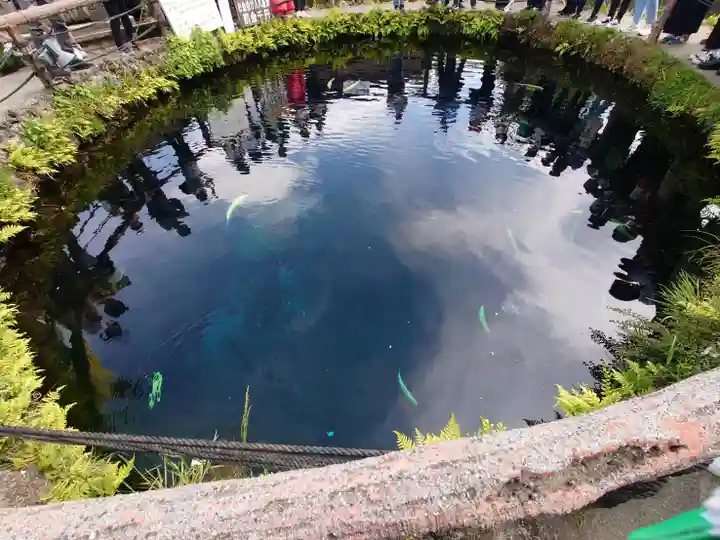 淺間神社(忍野八海)の庭園