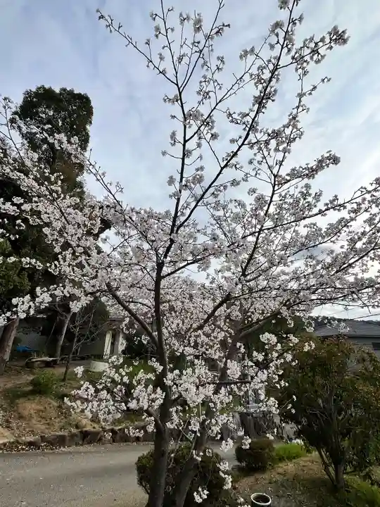 積川神社(大阪府)