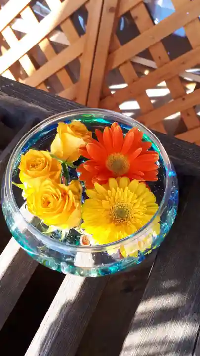 新川皇大神社の手水舎