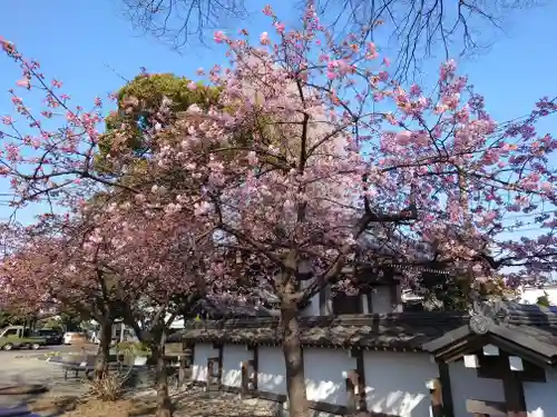 宗仲寺(神奈川県)