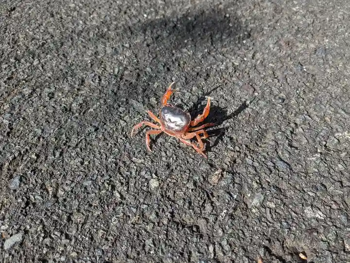 松尾寺(京都府)