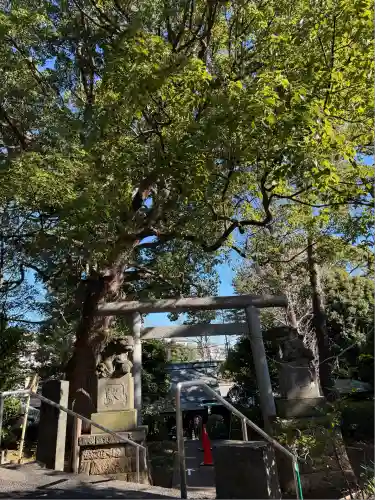 細山神明社(神奈川県)