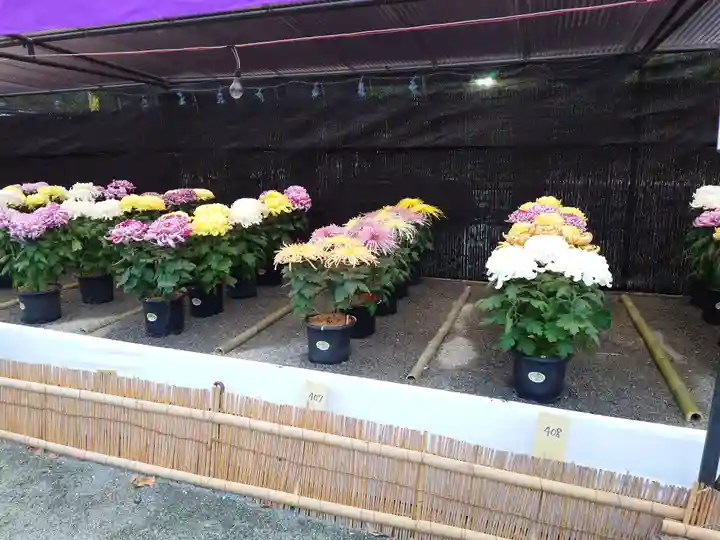 宗像大社(福岡県)