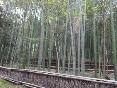 野宮神社の周辺