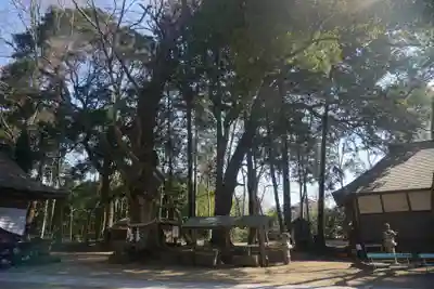 中村八幡宮のその他建物