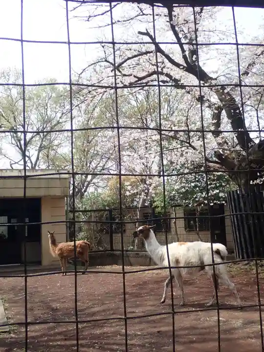 天照皇大神(神奈川県)