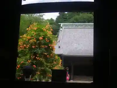 妙本寺のその他建物